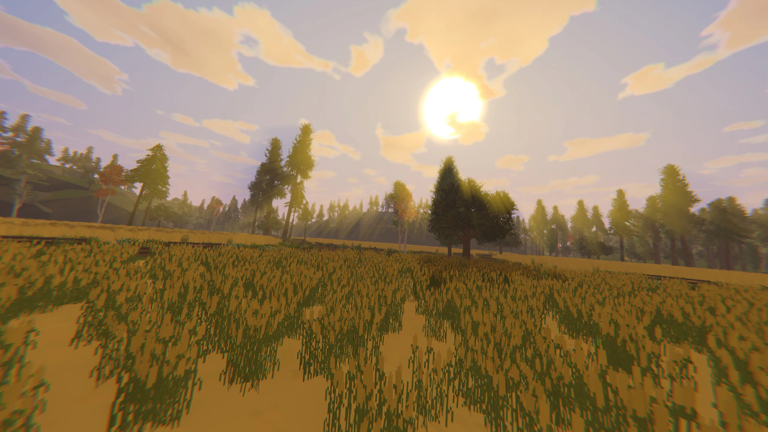 Golden wheat field at sunset with a lone tree and distant forest line